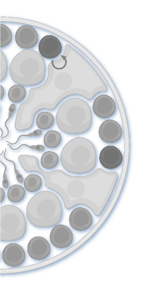 lab disc