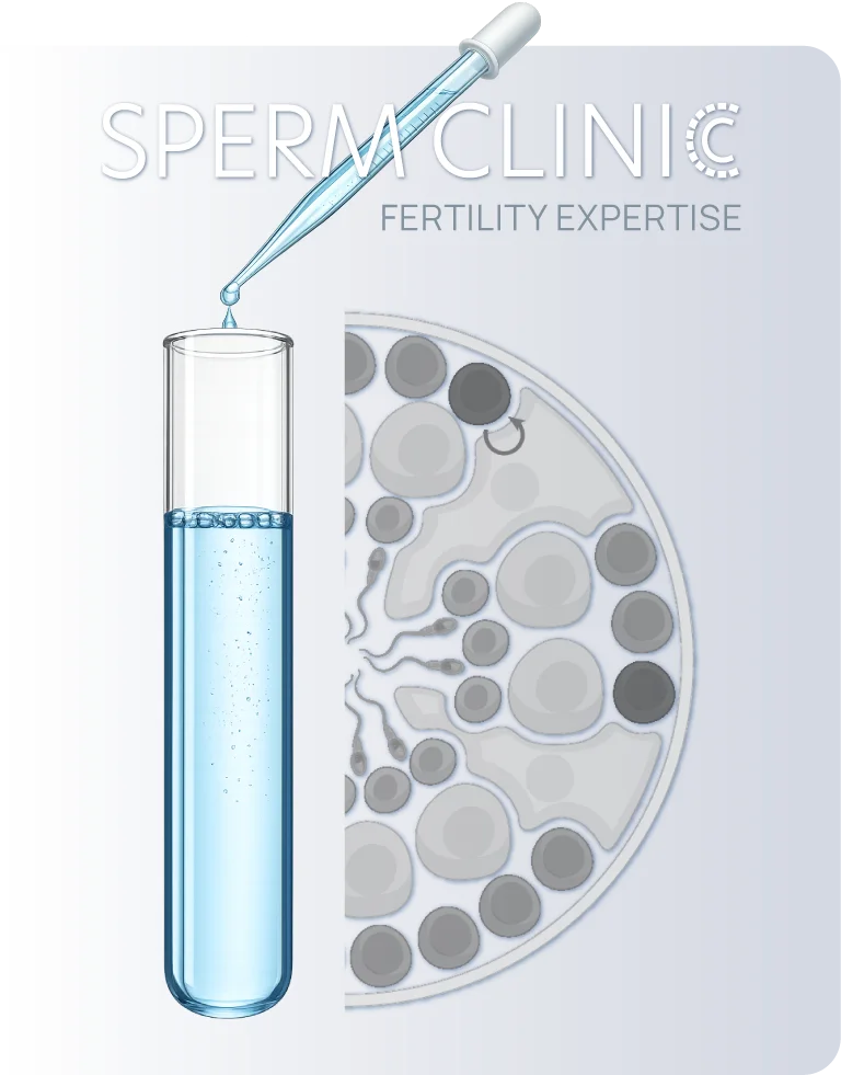 fertility experience